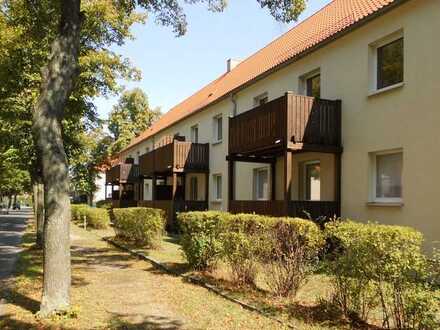 Lauta! Helle 1 Raum Wohnung mit Wohnküche und Balkon zu vermieten!