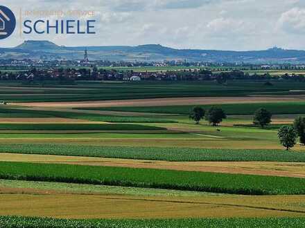 Landwirtschaftliche Flächen, Ackerland, Grünland, Wiese - Pessenburgheim