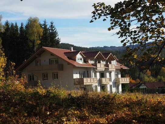 schöne 3 Zimmer Wohnung im 1. Stock