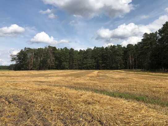 Ackerfläche im LKR Elbe-Elster 6,8 ha