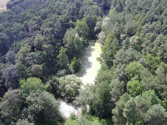 Waldgrundstück mit Teich in Jembke (Gifhorn)