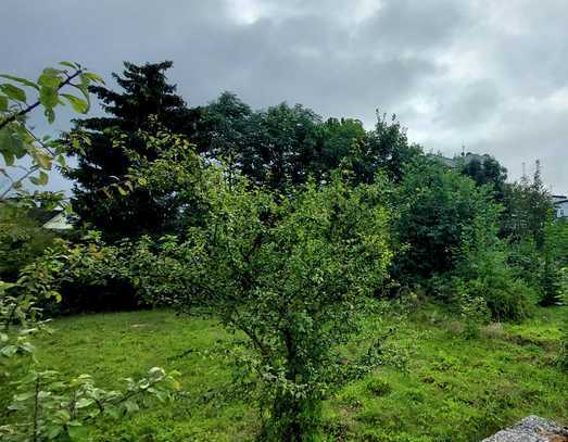 Großes Gartengrundstück im Herzen der Stadt