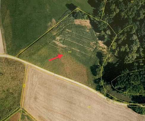 Landwirtschaftsfläche -Waldfläche in Inkofen/ Haag a. d. Amper