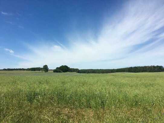 Tolles Baugrundstück in Bucha mit ca. 800,00 m²