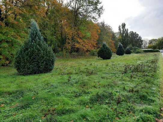 Baugrundstück am Waldrand zwischen Greifswald, Anklam und Wolgast