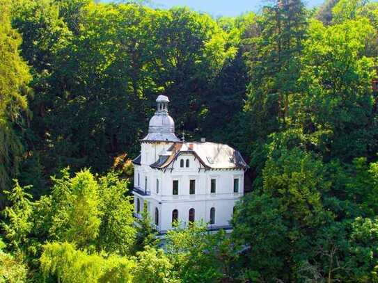 Ehemaliges Hotel/Restaurant in einem Schloss!