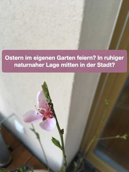 Stilvolle 4,5-Zimmer-Maisonettewohnung m. Garten, ruhige zentrale Lage a. Auwald, Neubau, Zweitbezug