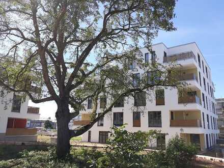 Neue Penthouse Wohnung-Wohnung mit 2 Terrassen und EBK in Langen