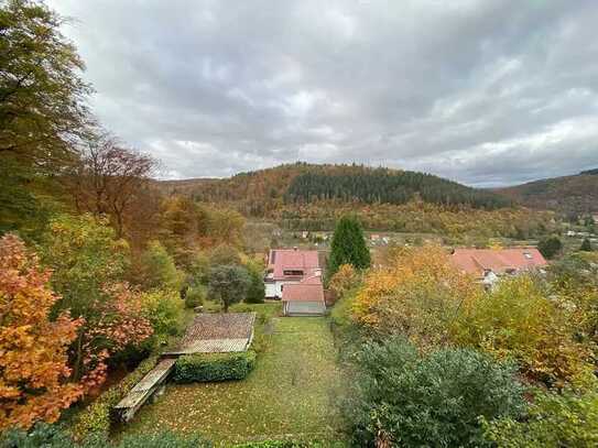 Natur Pur! Renovierte 2-Zimmer-Wohnung mit Terrasse und Garten in Neckargemünd