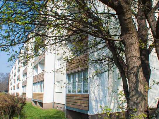 Deine neue Wohnung - einziehen und glücklich werden