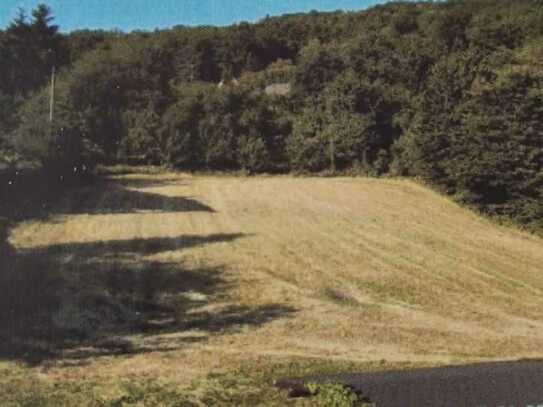 Schönes Baugrundstück in Zemmer, Südhang