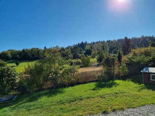 Eine Oase der Ruhe! Ein- Zweifamilienhaus mit ca. 200m² Wfl. in herrlicher Randlage von Neu-Anspach