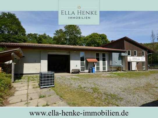 Schöne, großzügige Halle mit Bürogebäude in idyllischer Lage von Tanne zu verkaufen.