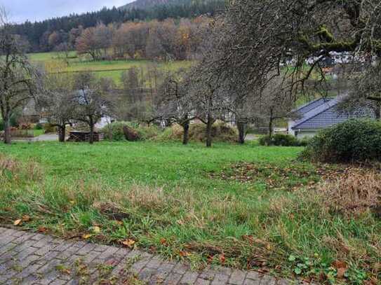 Großes Baugrundstück in traumhafter Ortsrandlage von Weilbach OT Weckbach