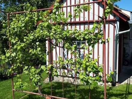 Freizeitgrundstück mit kleinem Gartenhaus in Grünkraut