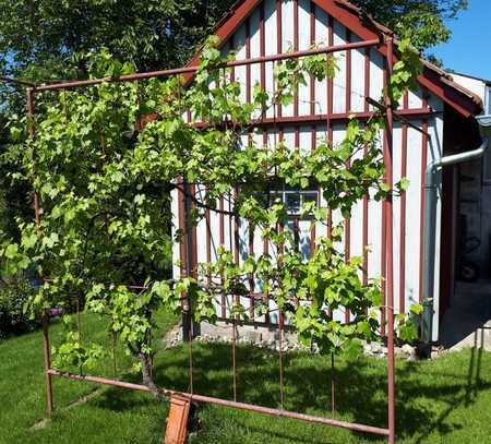 Freizeitgrundstück mit kleinem Gartenhaus in Grünkraut