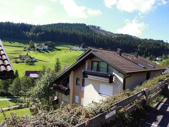 1 Zimmer Wohnung mit einer sehr schönen Aussicht