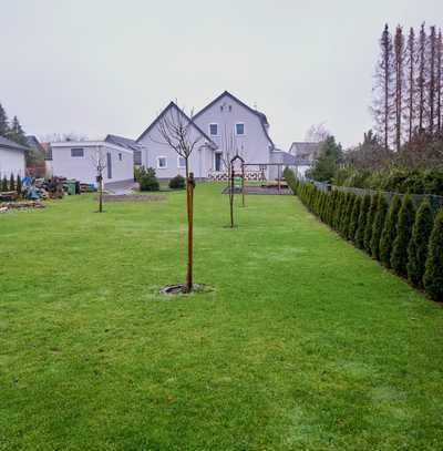 PROVISIONSFREI - Kernsaniertes Haus in Sülfeld zum Wohlfühlen