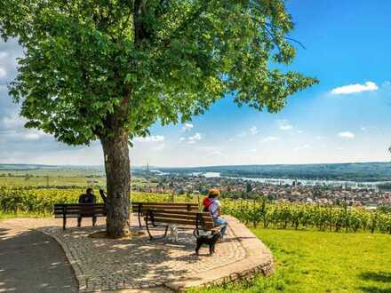 Anlage: Hotel Rheingau, 7,4-fache der Mieteinnahme