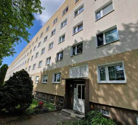 Gemütliche drei Zimmer Wohnung mit großem Balkon!