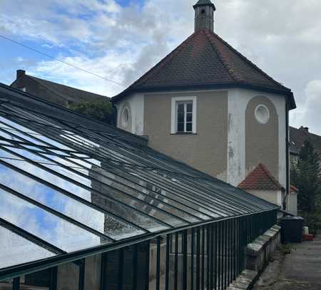 Großes Gewächshaus und mit Verkaufsraum für professionellen Gartenbau