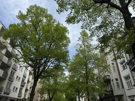 VERMIETET Malerviertel - Gründerzeit-Wohnung in ruhiger Lage mit Loggia