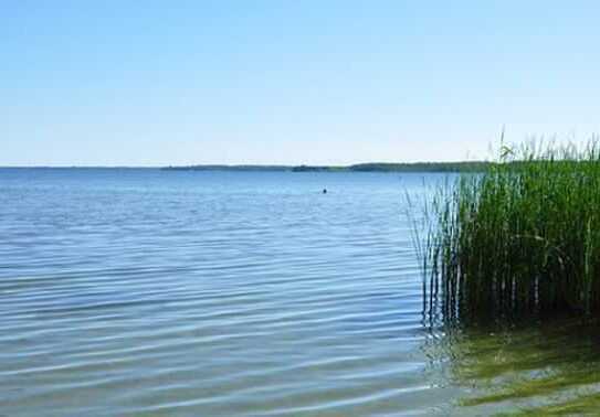 Baugrundstück in der Nähe vom Plauer See an der Mecklenburgischen Seenplatte Müritz