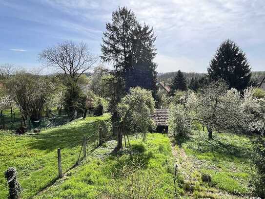 Baugrundstück mit 1.250 m² in Halbhöhenlage - Ausblick - Blick ins Grüne