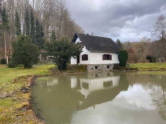 freistehendes Einfamilienhaus mit großem Grundstück und Teich (835 m²) mit EBK in Gonterskirchen