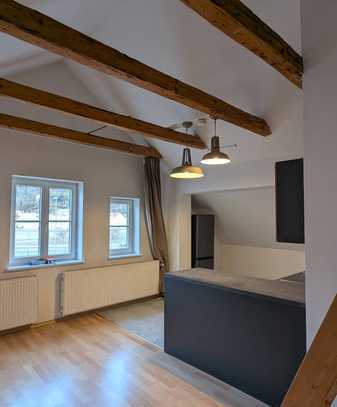 Zentrale 2 Zimmer DG im Altbau mit Empore und Donaublick