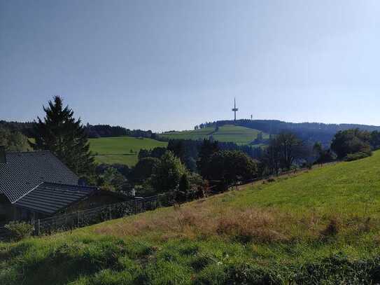 Sonniges Südhanggrundstück