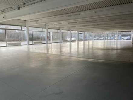 Helle Verkaufshalle / Showroom bis ca. 1200m²