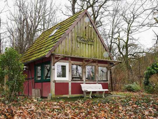 Charmantes Wochenendhäuschen in ruhiger Waldlage – Ein naturnaher Rückzugsort