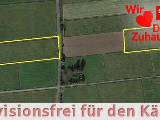 Zwei Landwirtschaftsflächen - Grünland rund 5 ha