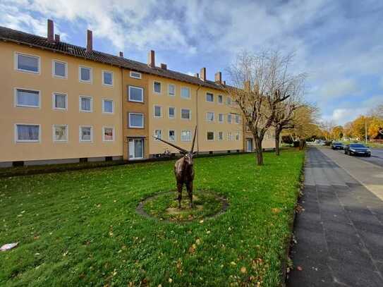 Geräumige Wohnung in Minden