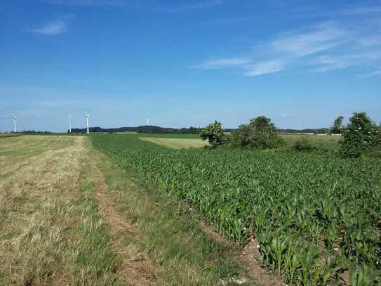 Landwirtschaftliche Fläche - Grundstück als Sonderbaufläche für Freiland-Photovoltaik möglich