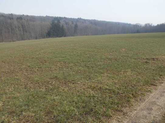 Landwirtschaftsfläche (Grünland) zu verkaufen