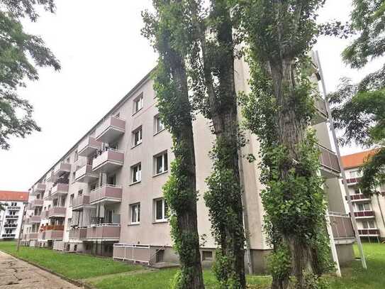 3 Raumwohnung für Ihre kleine Familie