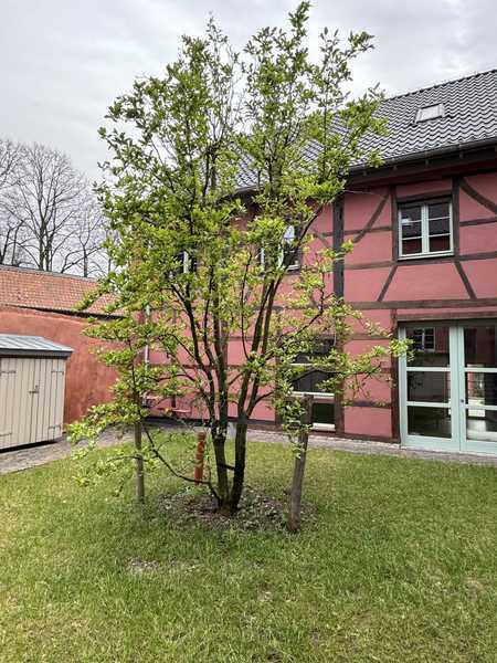                                                               aussergew&ouml;hnliche : 2-Zimmer-Dachgeschosswohnung in Schwalmtal                                                       in Schwalmtal (Vogelsbergkreis)