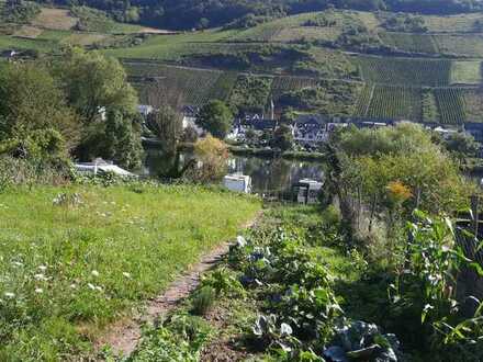 Traumhaftes Freizeitgrundstück in Zell-Mosel