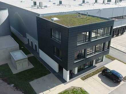 "BAUMÜLLER AG" - ca. 4.500 m² Hallenfläche - ebenerdige Andienung + Rampe