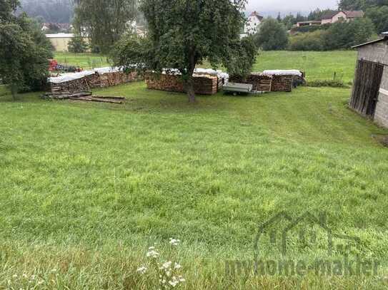 Baugrundstück mit Rohbau Altbestand und vielen Möglichkeiten in Weigendorf