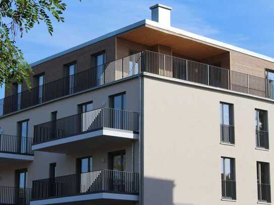 Holz100 Penthouse - Ökologisch & luxuriös!
