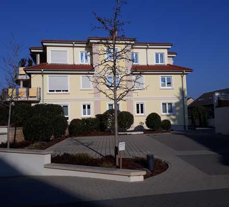 Kapitalanlage, vermietete, gehobene, barrierefreie 2-Zimmer Wohnung mit Blk in Freinsheim