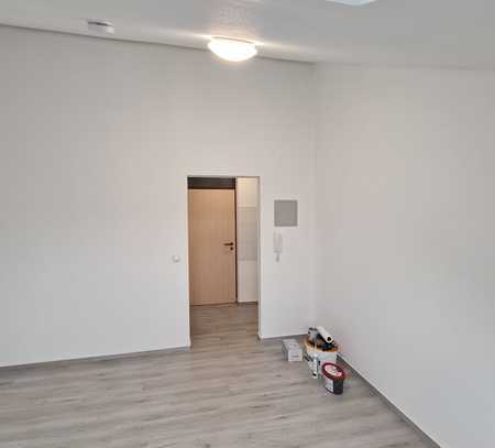 1 Zi-Apartment mit Miniküche, Du- Bad/WC in NR-Engers