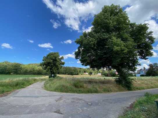 Wald nahes Baugrundstück anzubieten