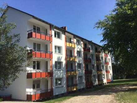 Erdgeschosswohnung mit 3 Zimmern und vielen Grünflächen in Bielefeld-Stieghorst!