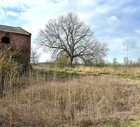 Handwerkerobjekt, 3 Seitenhof in Tantow OT Schönfeld, wer erweckt mich aus dem Dornröschenschlaf