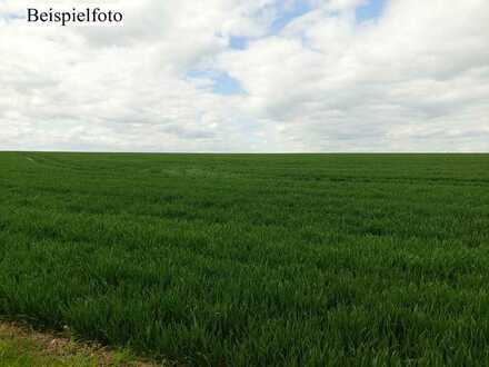 Landwirtschaftsflächen in 06258 Schkopau OT Döllnitz