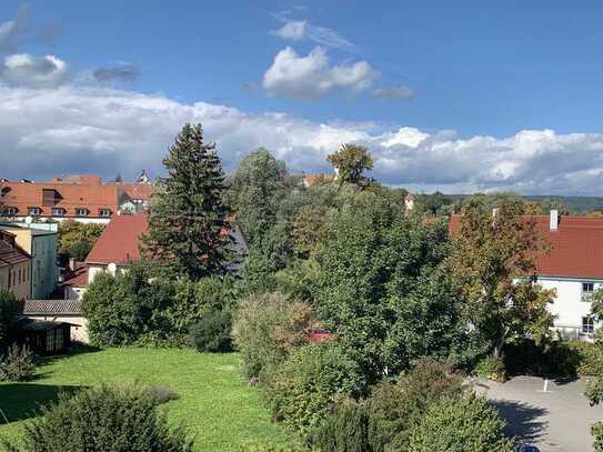Große Dachgeschosswohnung mit Loggia mit Blick auf Riedlinger Innenstadt